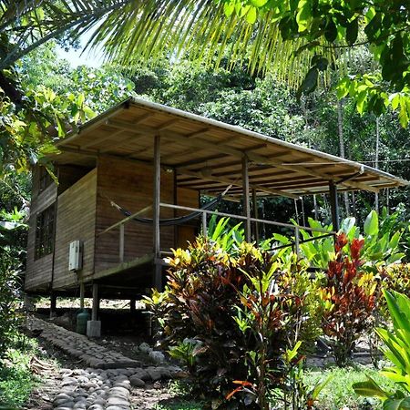 Huella Verde Rainforest Lodge Canelos Exteriér fotografie