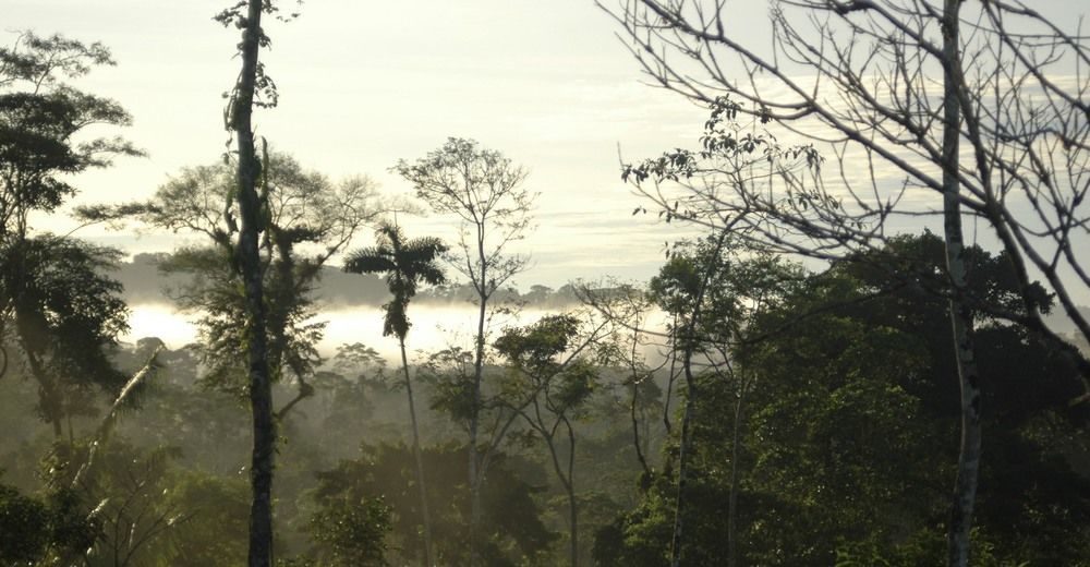 Huella Verde Rainforest Lodge Canelos Exteriér fotografie