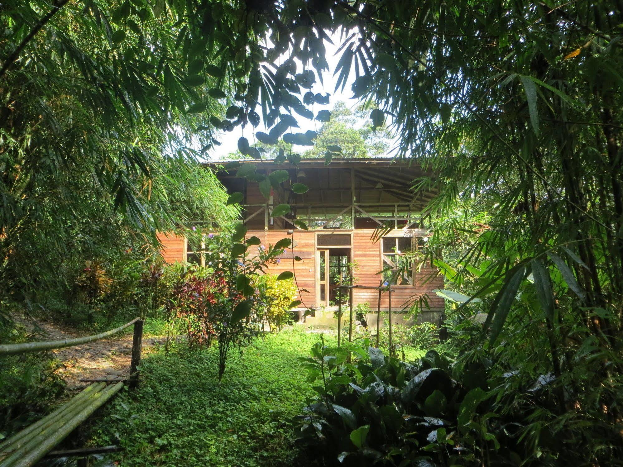 Huella Verde Rainforest Lodge Canelos Exteriér fotografie